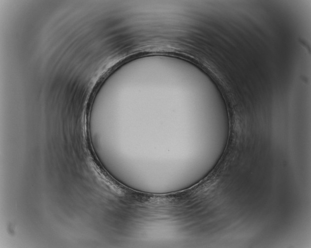 X0000103420840200809261705