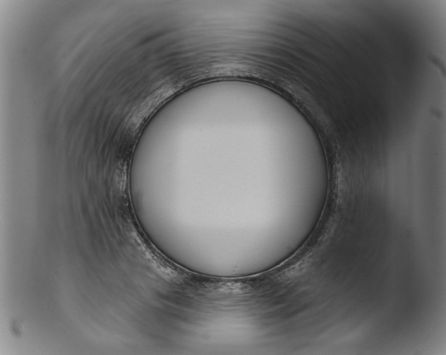 X0000103420841200809261705