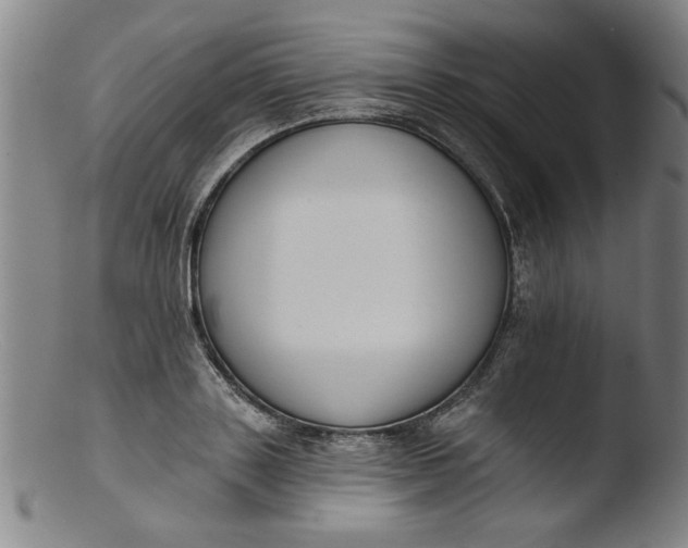 X0000103420843200809261705