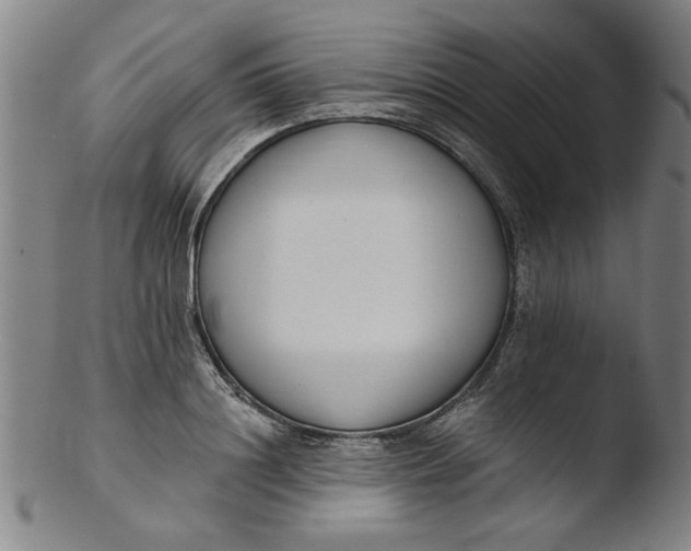 X0000103420844200809261705