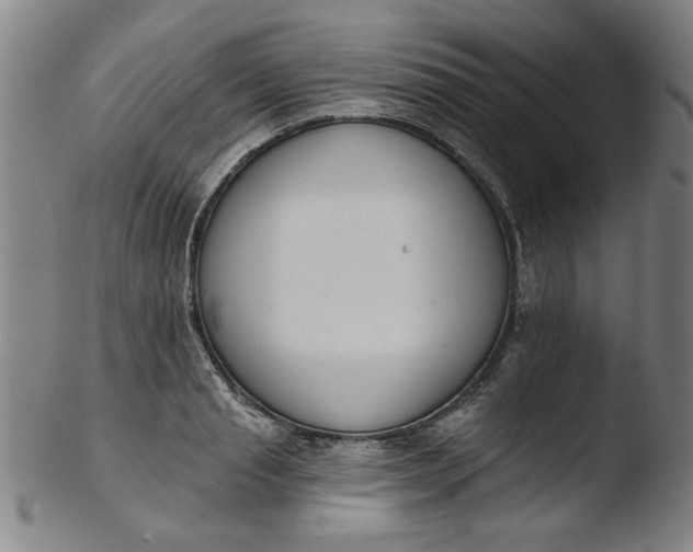 X0000103420845200809261705