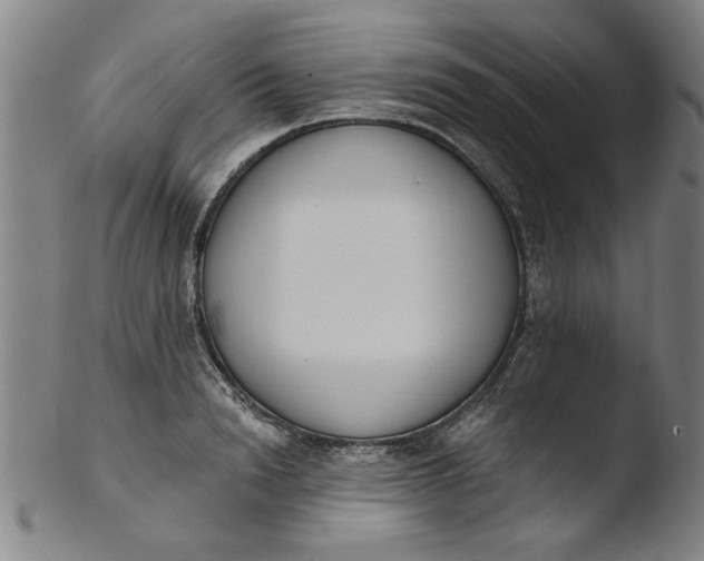 X0000103420846200809261705