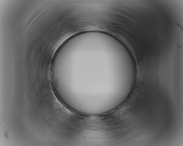 X0000103420847200809261705