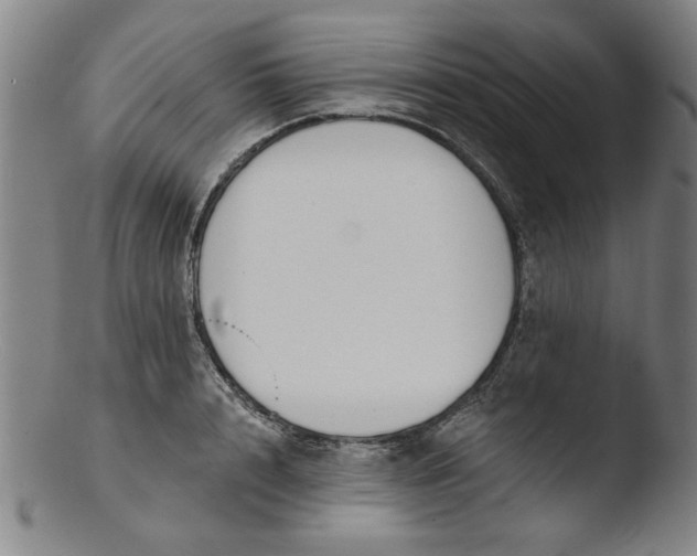 X0000103420848200809261705