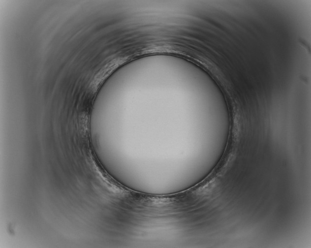 X0000103420849200809261705