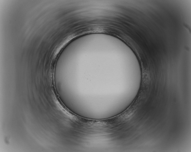X0000103420851200809261705