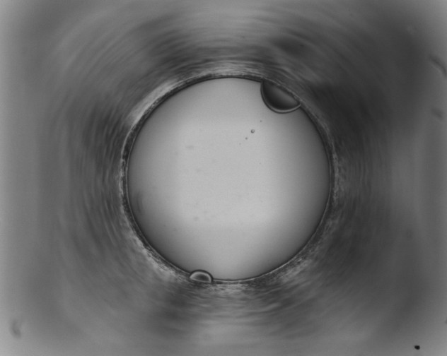 X0000103420853200809261705