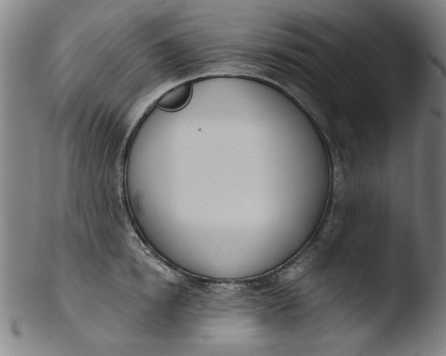 X0000103420854200809261705