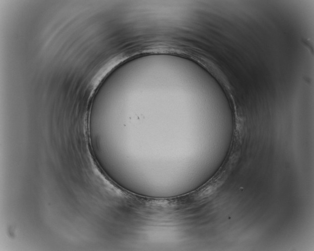 X0000103420855200809261705