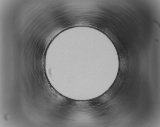X0000103420856200809261705