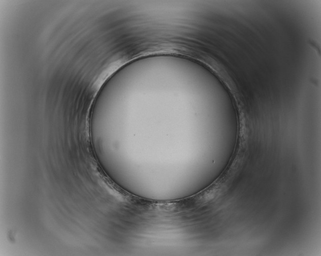 X0000103420858200809261705
