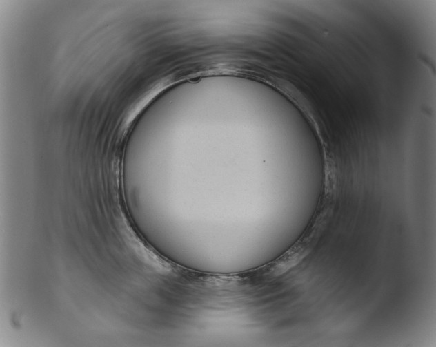 X0000103420859200809261705
