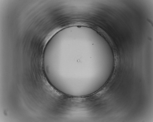 X0000103420860200809261705