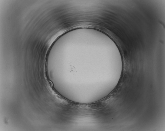 X0000103420861200809261705