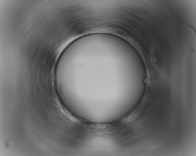 X0000103420862200809261705
