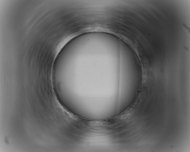 X0000103420863200809261705
