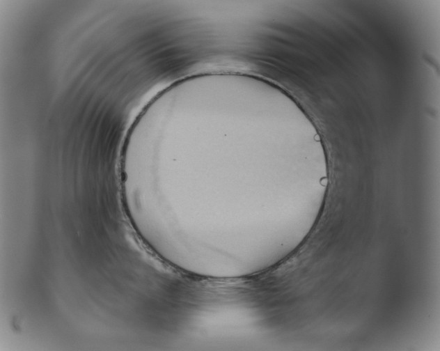 X0000103420864200809261705