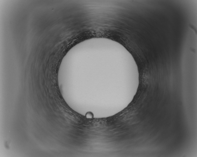 X0000103420865200809261705