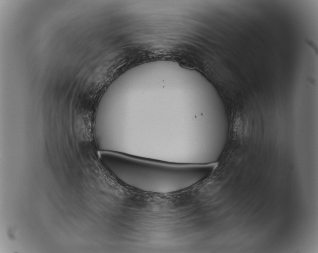 X0000103420868200809261704