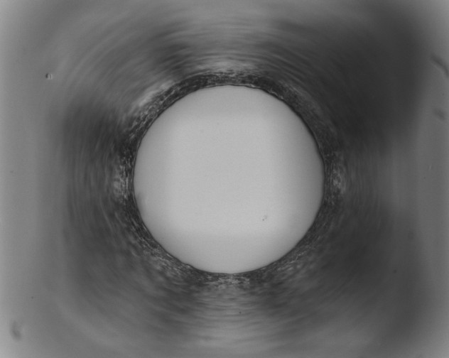 X0000103420869200809261704