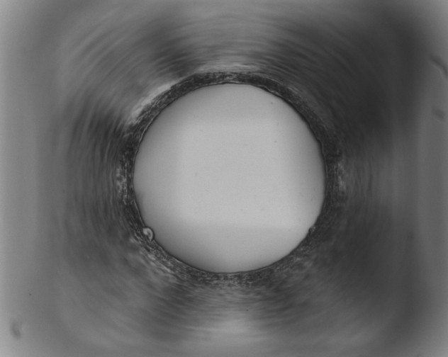 X0000103420872200809261704