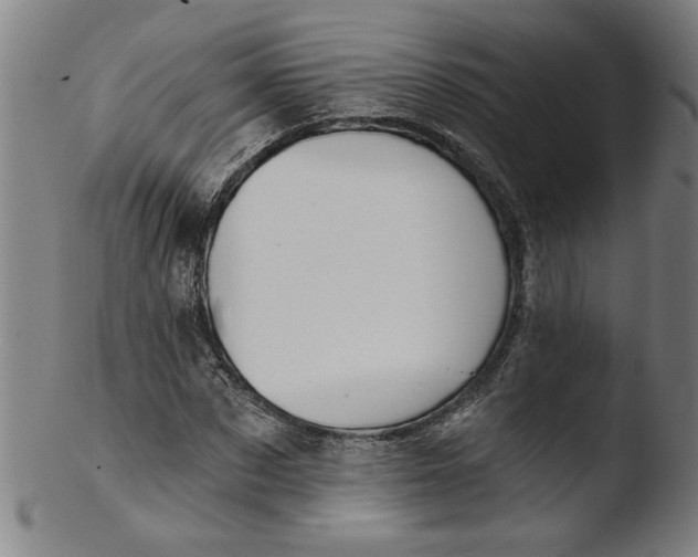 X0000103420873200809261704