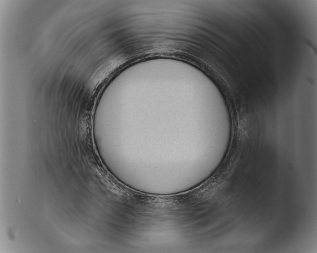 X0000103420874200809261704