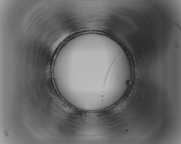 X0000103420875200809261704