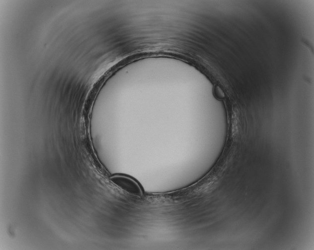 X0000103420876200809261704