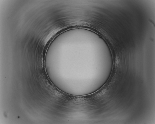 X0000103420877200809261704