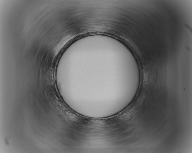 X0000103420878200809261704