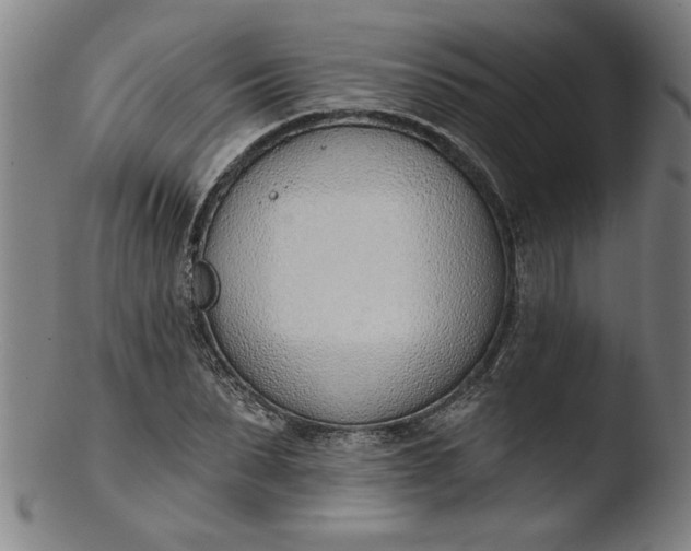 X0000103420879200809261704