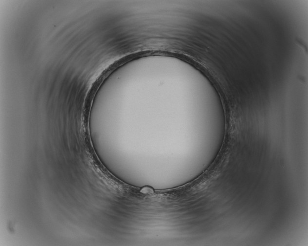 X0000103420880200809261704