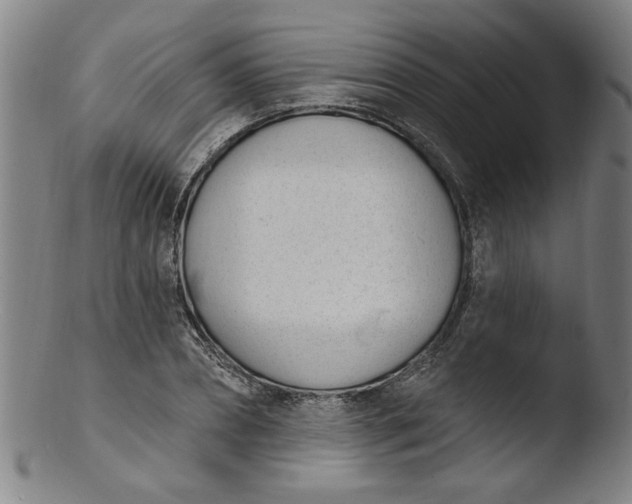 X0000103420882200809261704