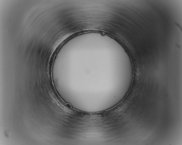 X0000103420884200809261704