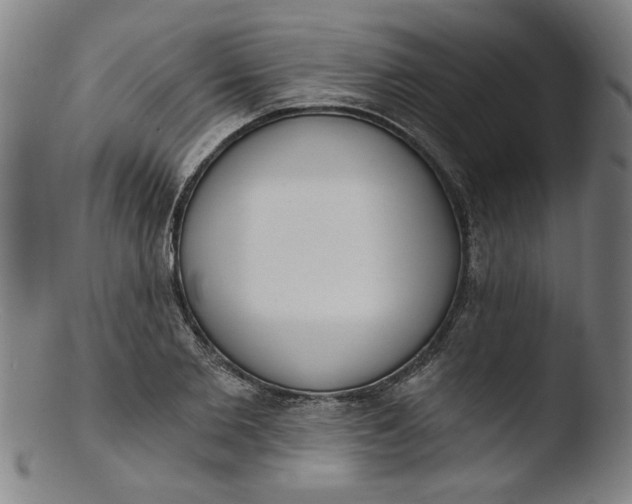 X0000103420885200809261704