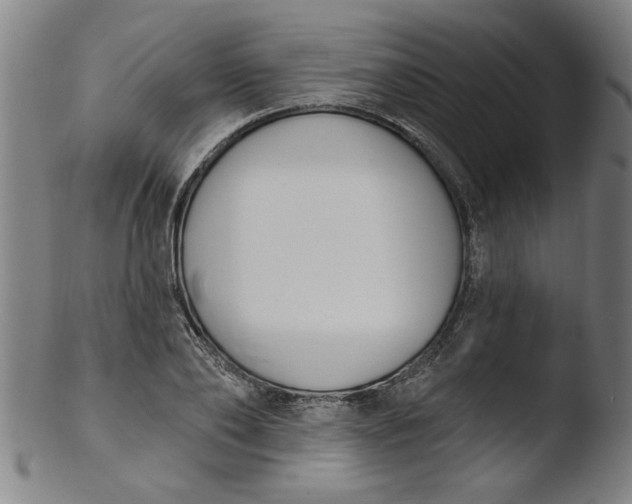 X0000103420886200809261704