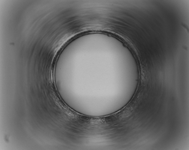X0000103420887200809261704