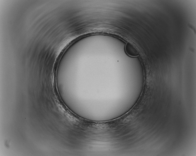 X0000103420888200809261704