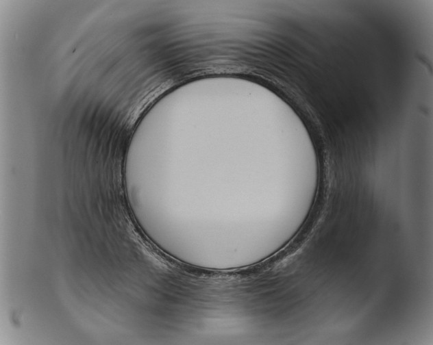 X0000103420889200809261704