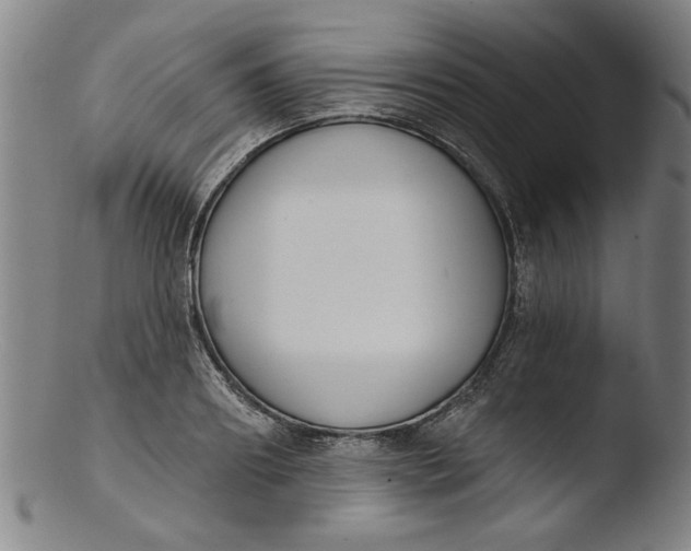 X0000103420890200809261704