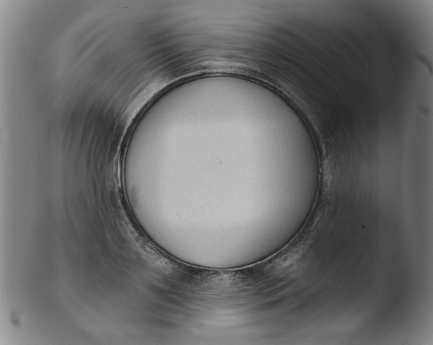 X0000103420891200809261704