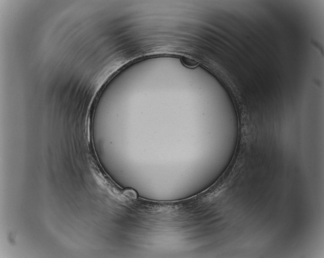 X0000103420892200809261704