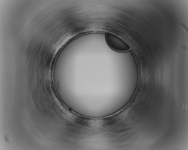 X0000103420893200809261704