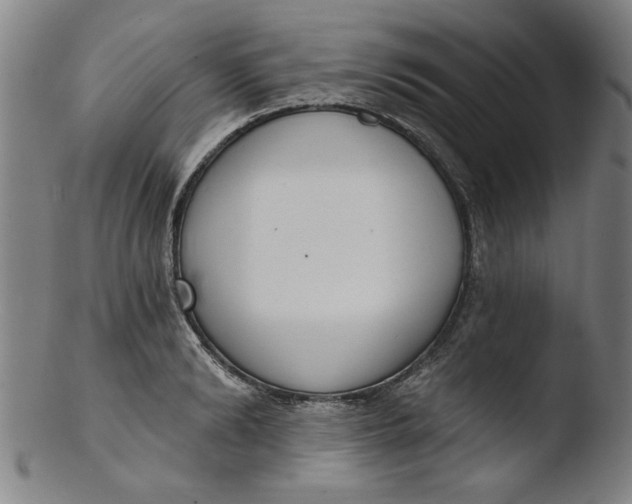 X0000103420894200809261704