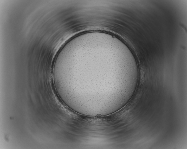 X0000103420895200809261704