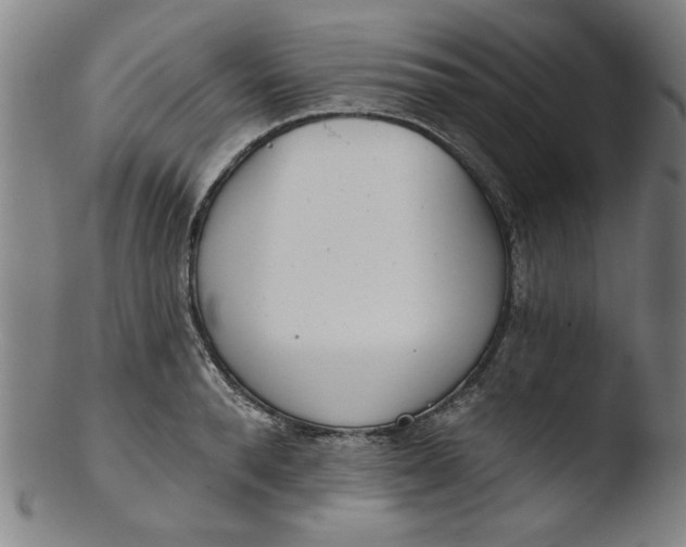X0000103420896200809261704