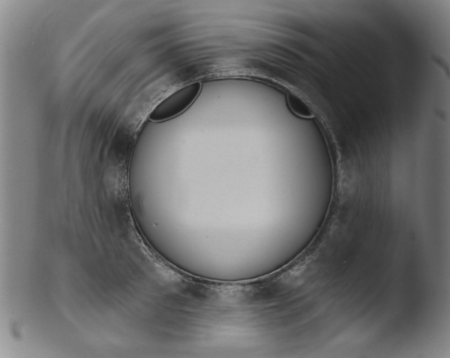 X0000103420897200809261704