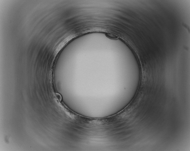X0000103420898200809261704