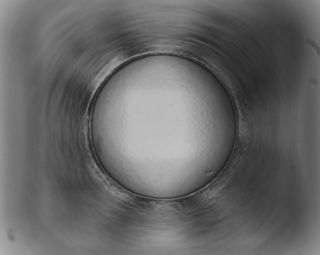 X0000103420899200809261704